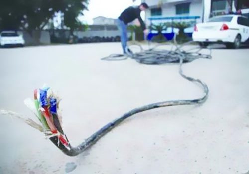 線纜行業(yè)“潛規(guī)則”：‘非標(biāo)’電線電纜，實(shí)質(zhì)上就是假冒偽劣產(chǎn)品！ 